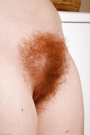 Hairy Redhead Porn
